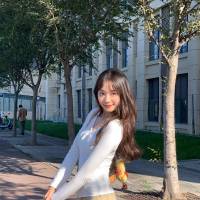 91無碼免費下載電腦免費版